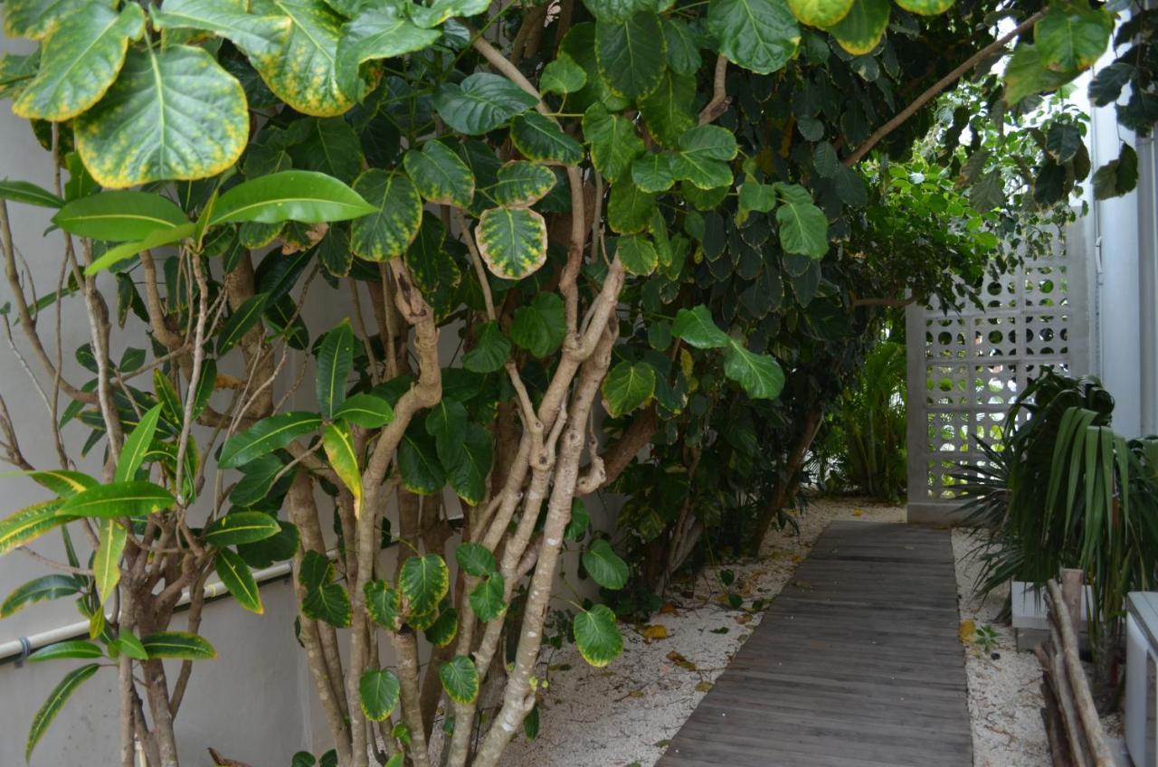 Cielo Neuf Bed and Breakfast Cancún Exteriör bild